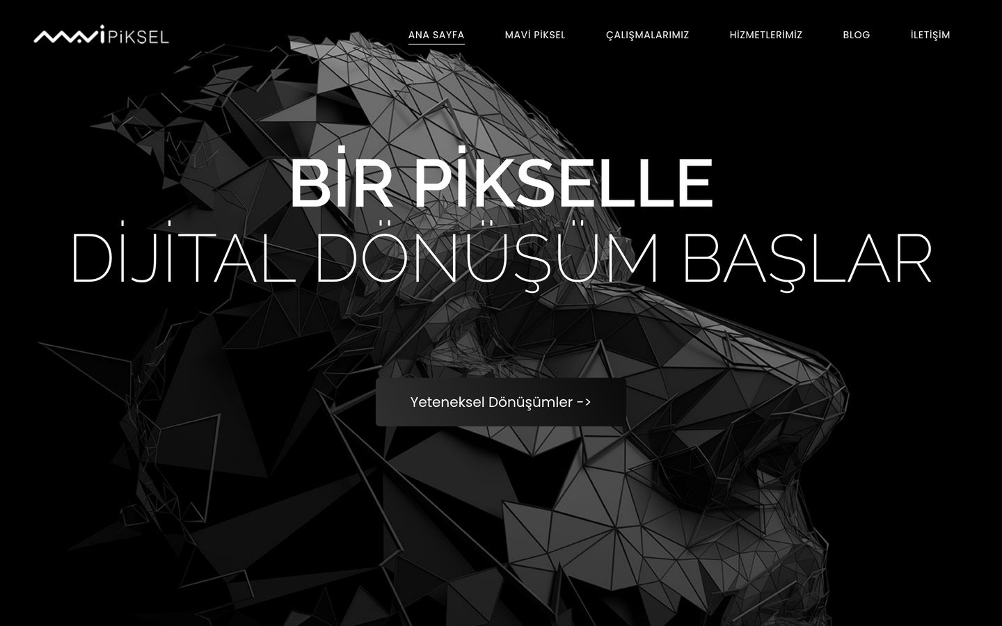 Mavi Piksel