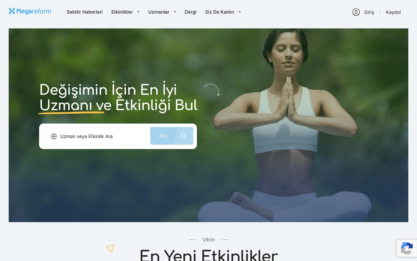 Megareform