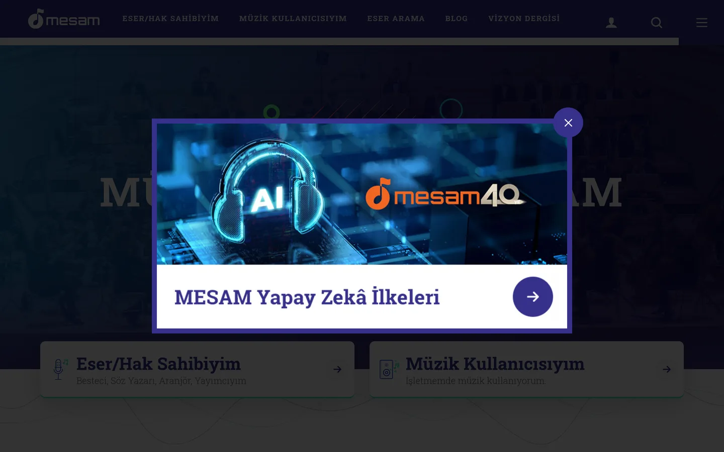 MESAM