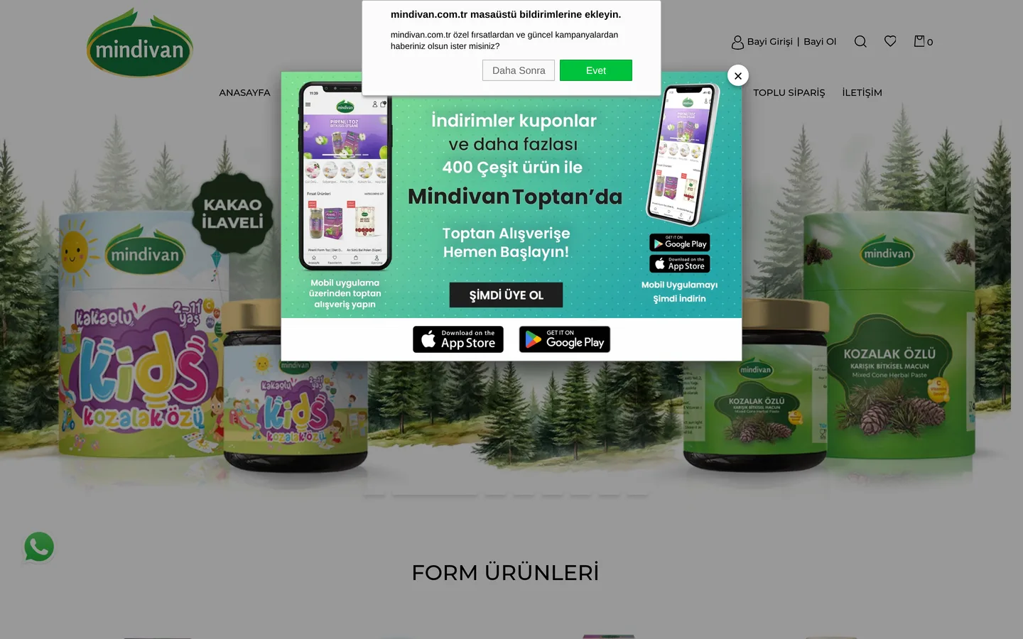 Mindivan