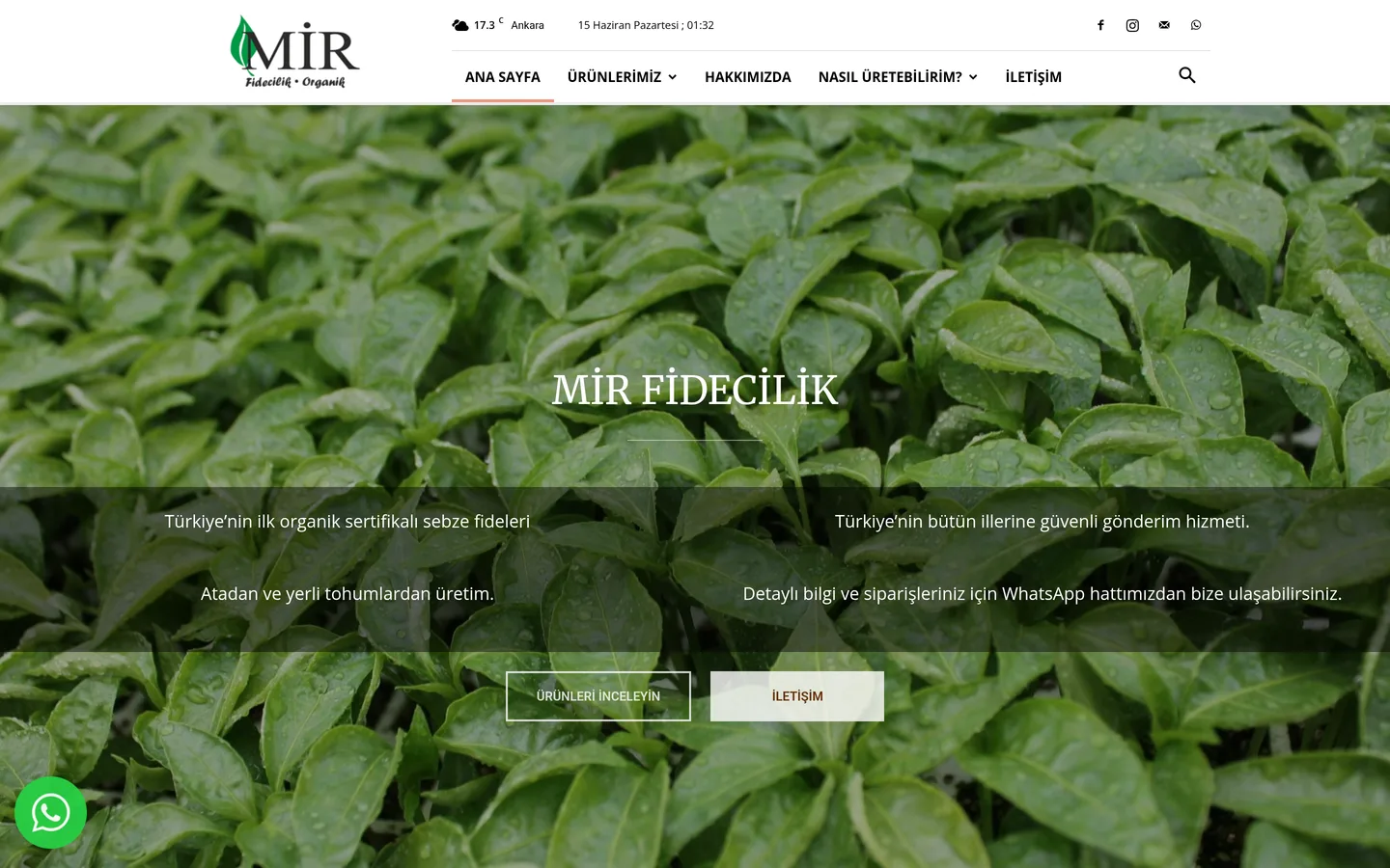 Mir Fidecilik