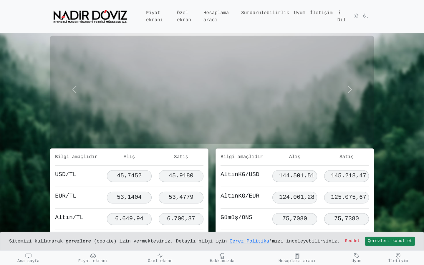 Nadir Döviz