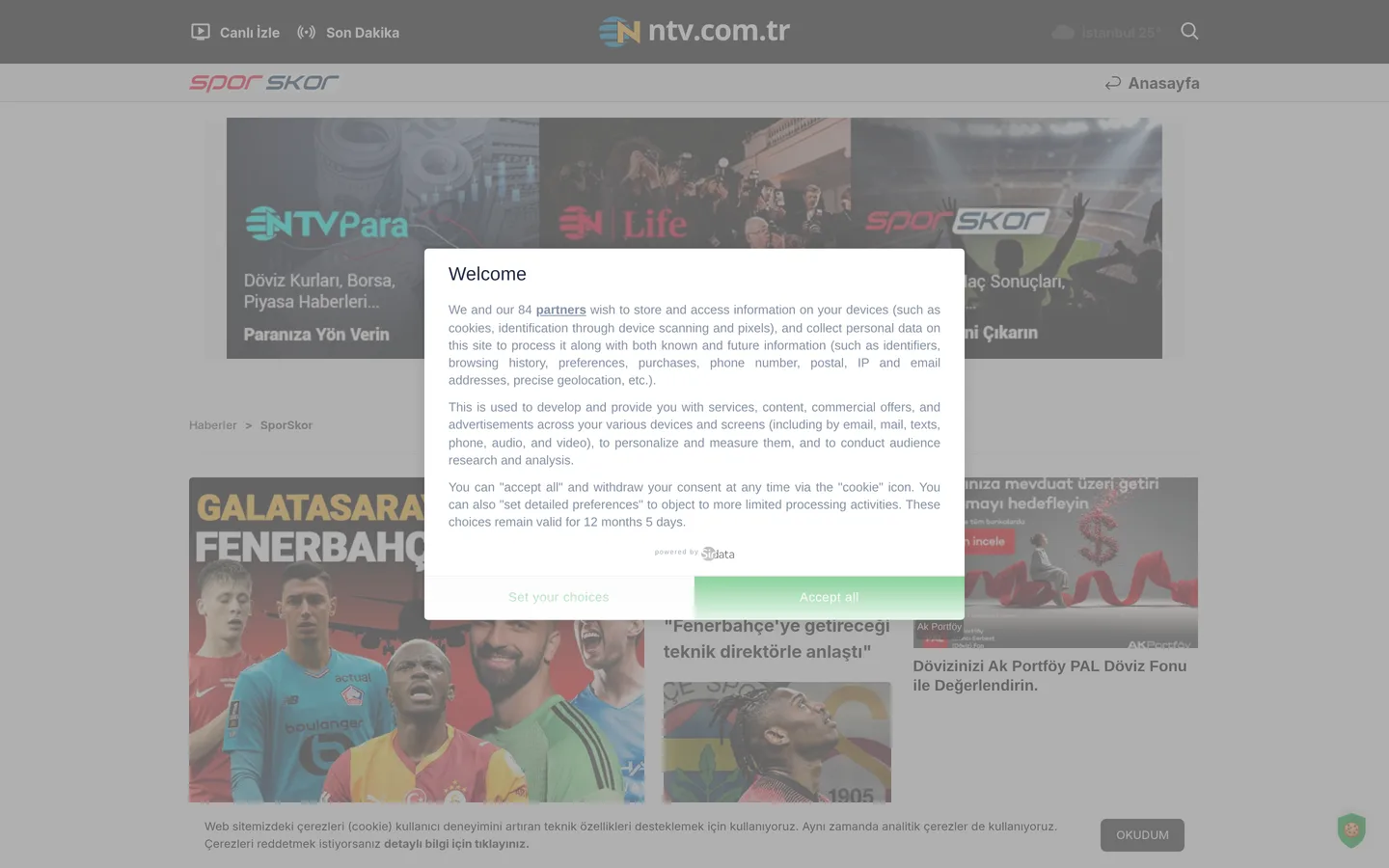 NTV Spor Basketbol