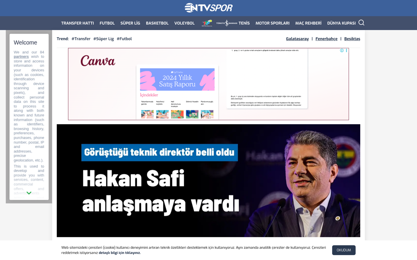NTV Spor