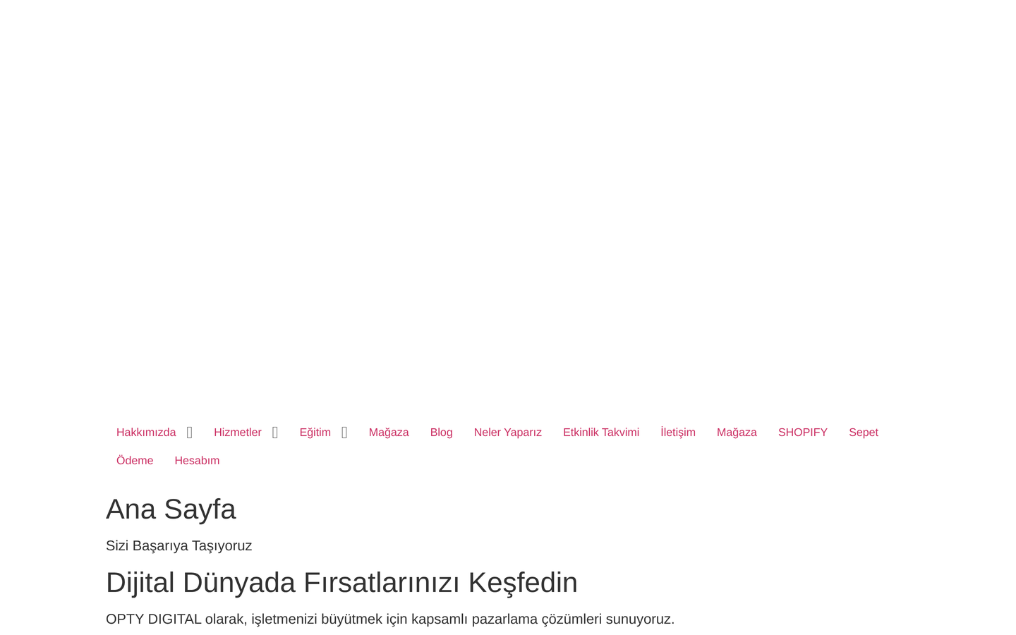 Opty Digital