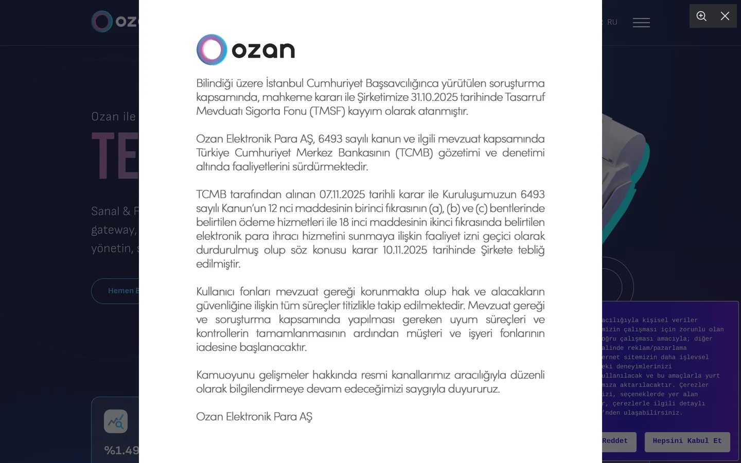 Ozan Elektronik Para
