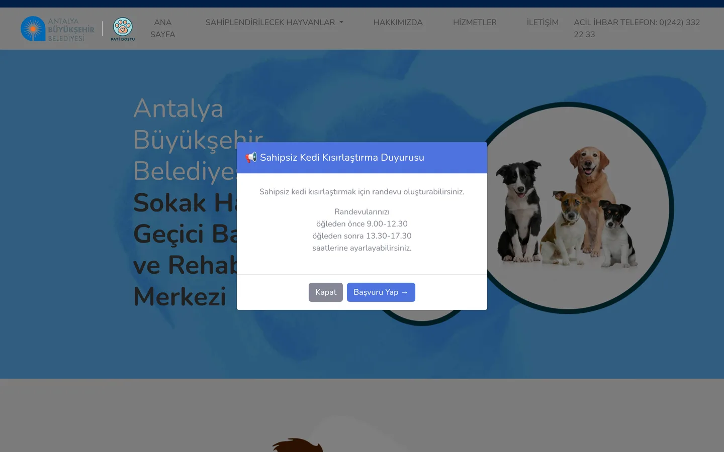 Antalya Büyükşehir Belediyesi - Pati Dostu