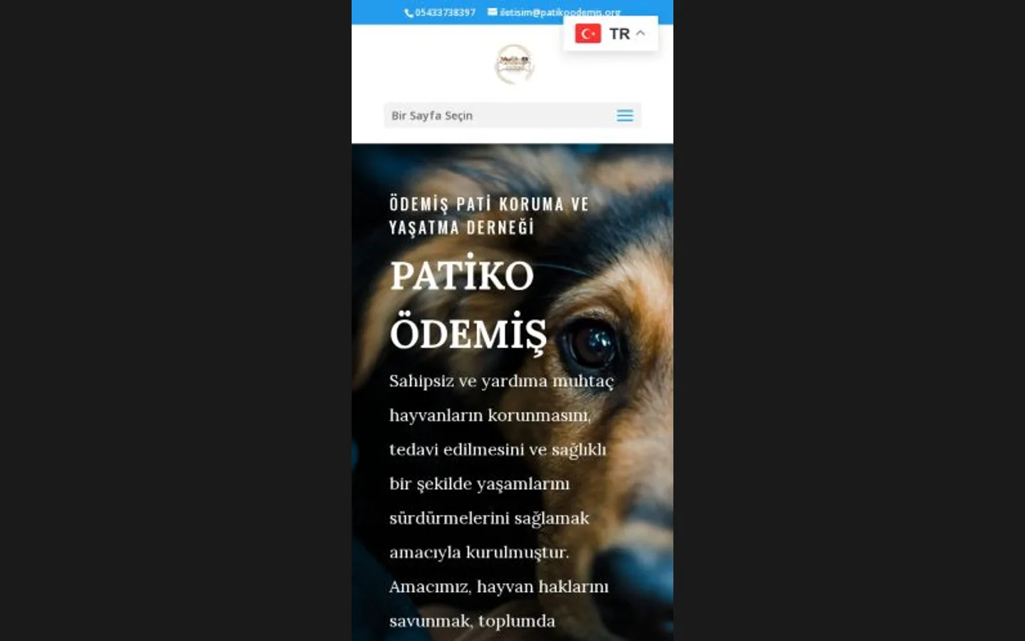 Patiko Ödemiş