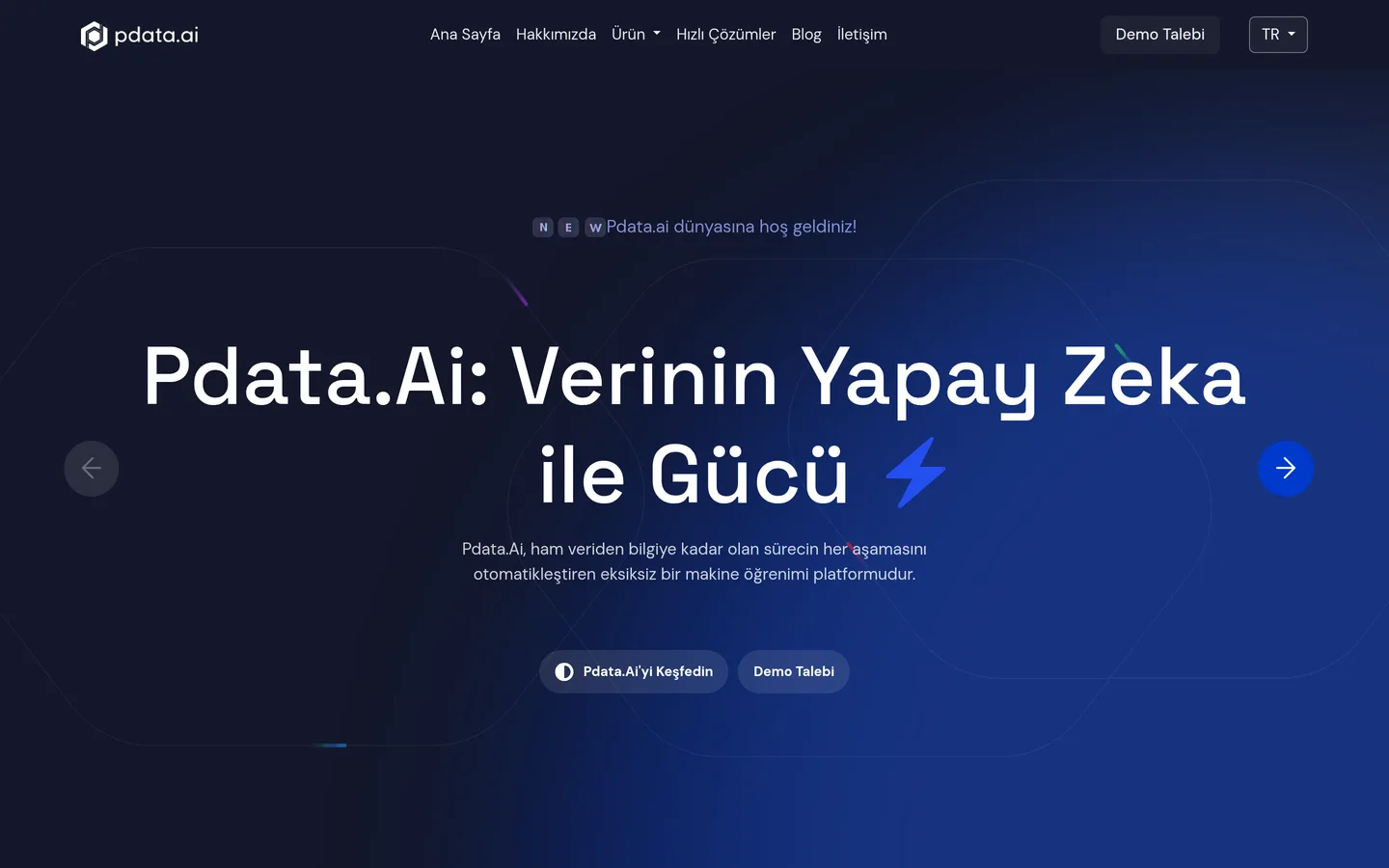 Pdata.ai