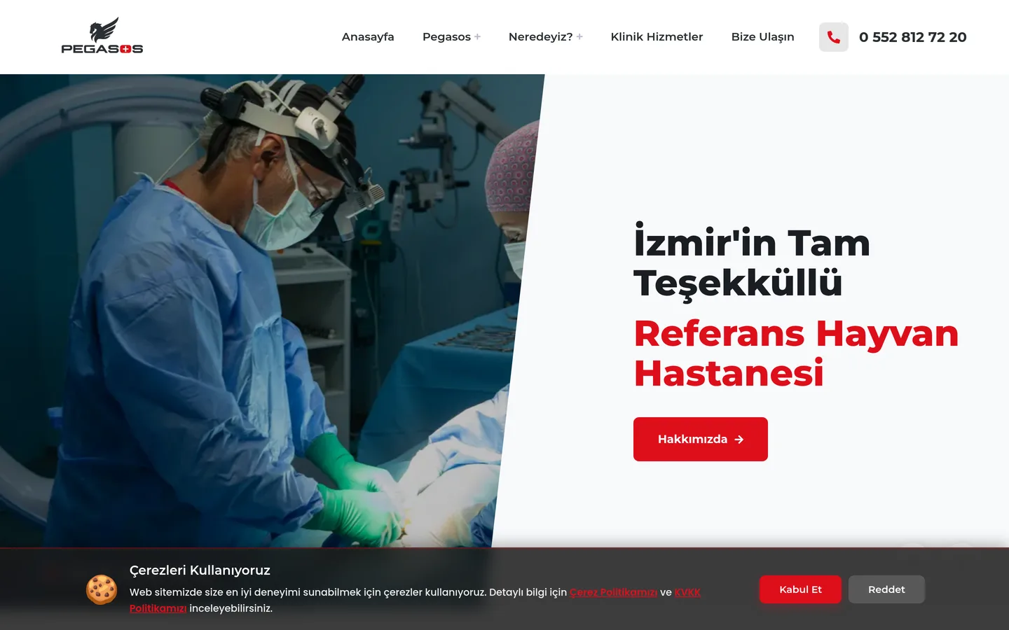 Pegasos Hayvan Hastanesi