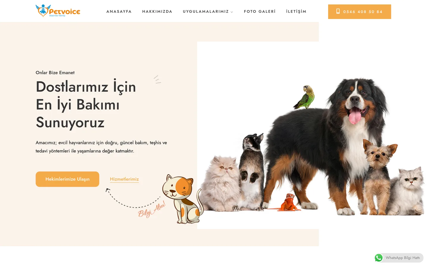 Petvoice Veteriner