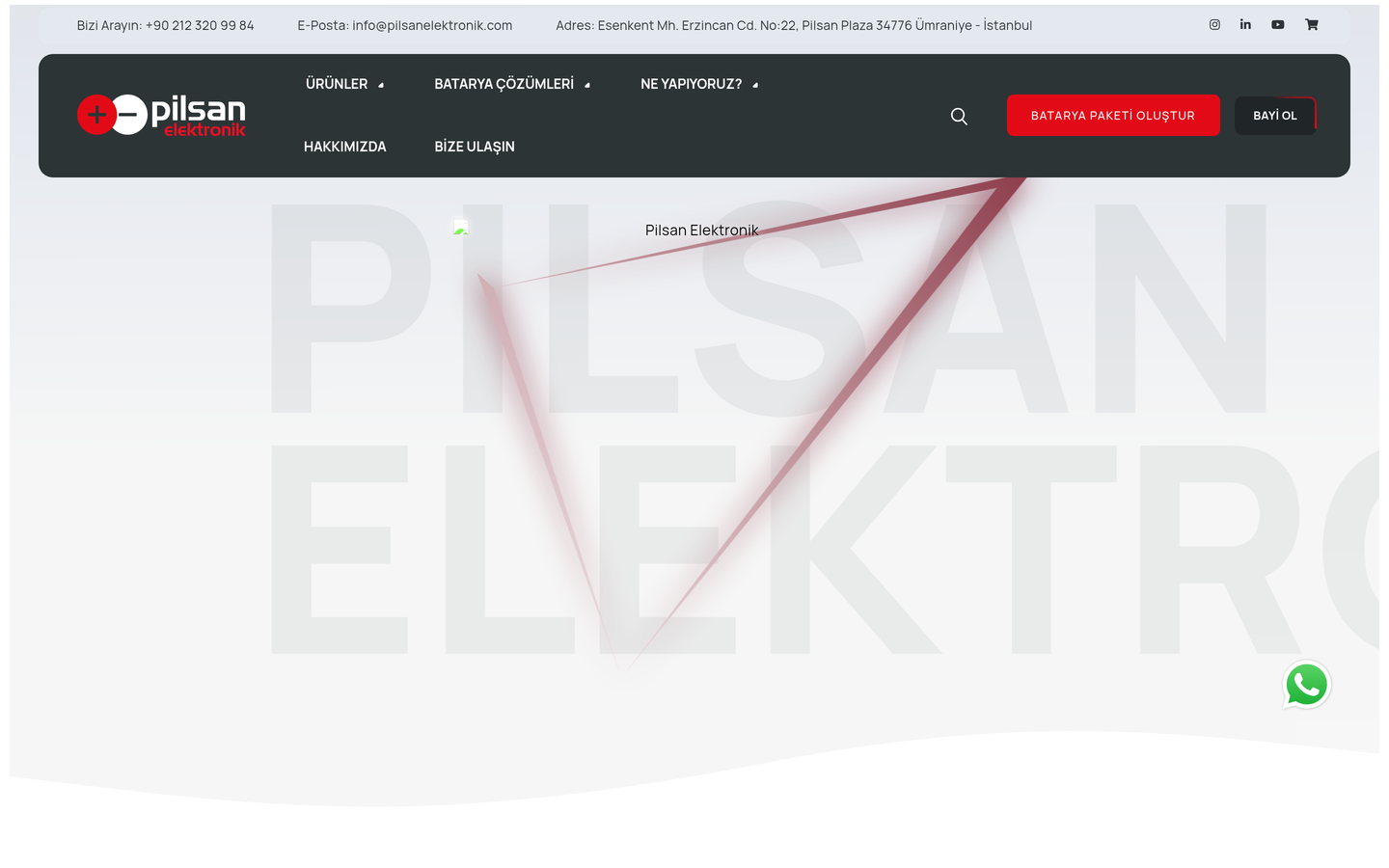 Pilsan Elektronik