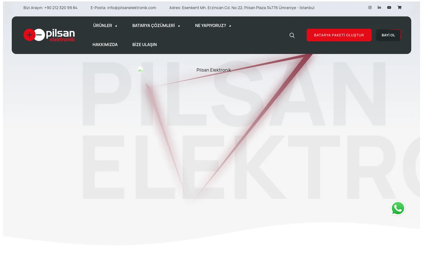 Pilsan Elektronik