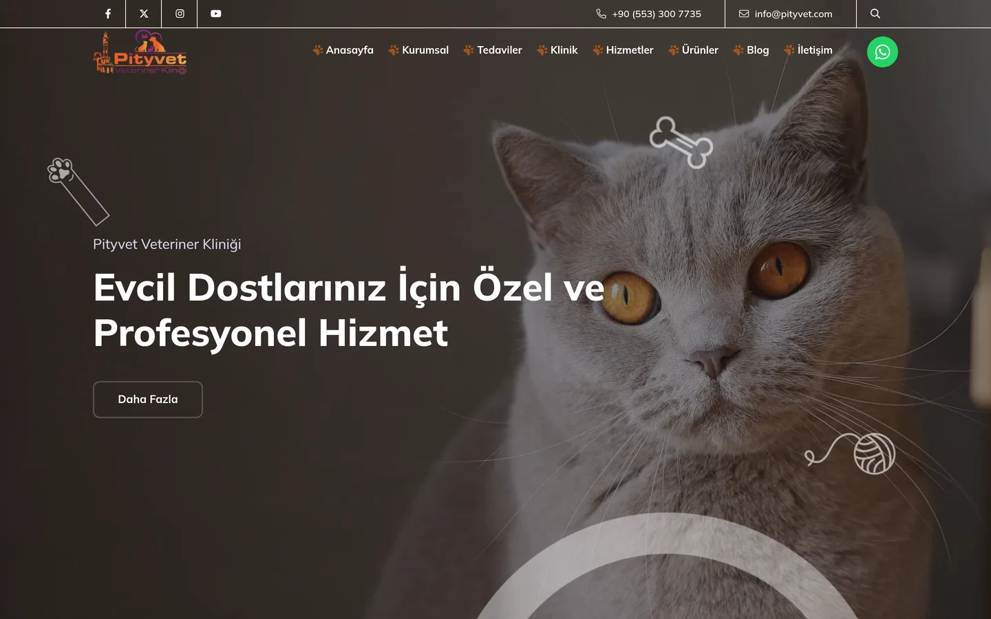 Pityvet Veteriner Kliniği