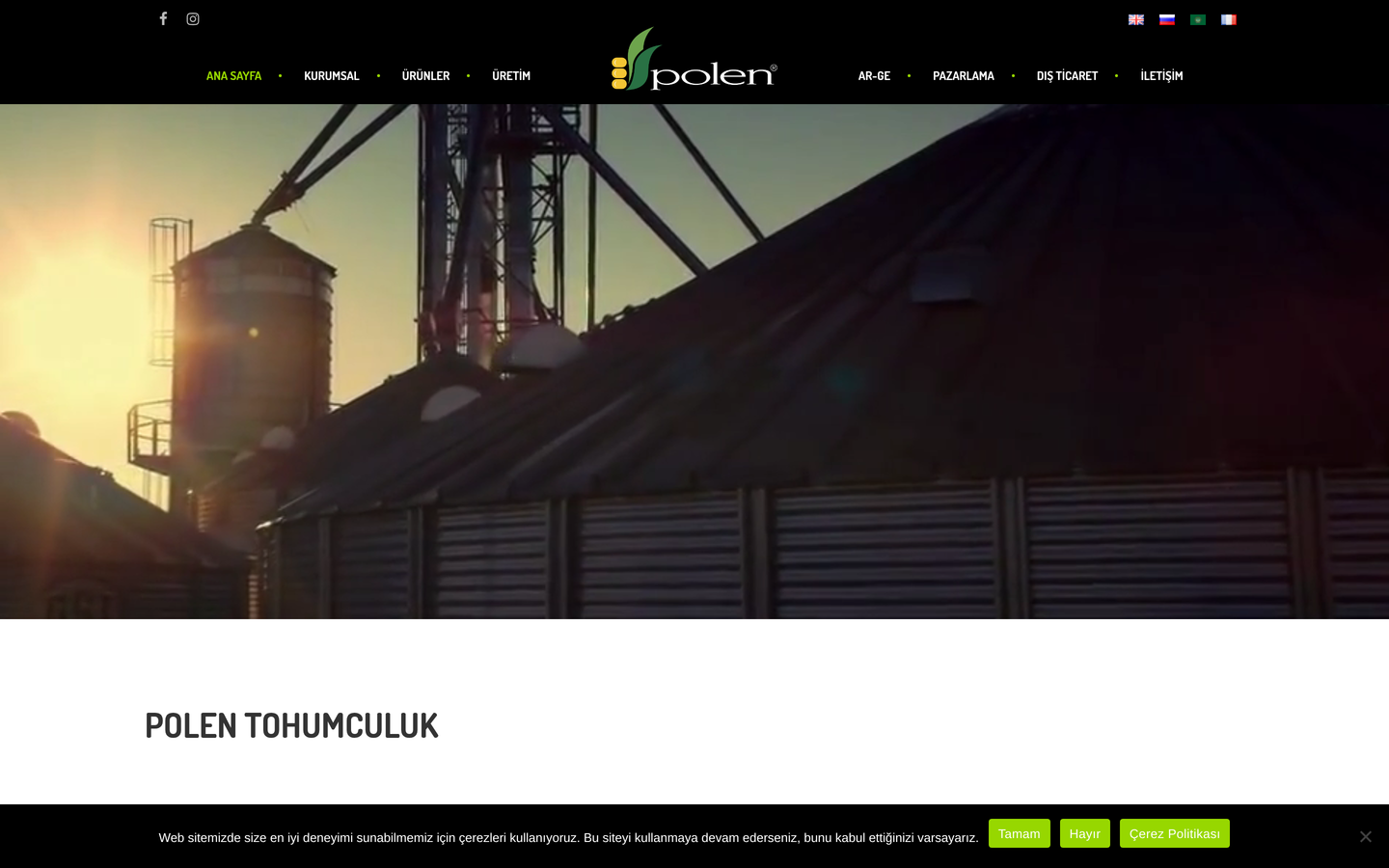 Polen Tohumculuk