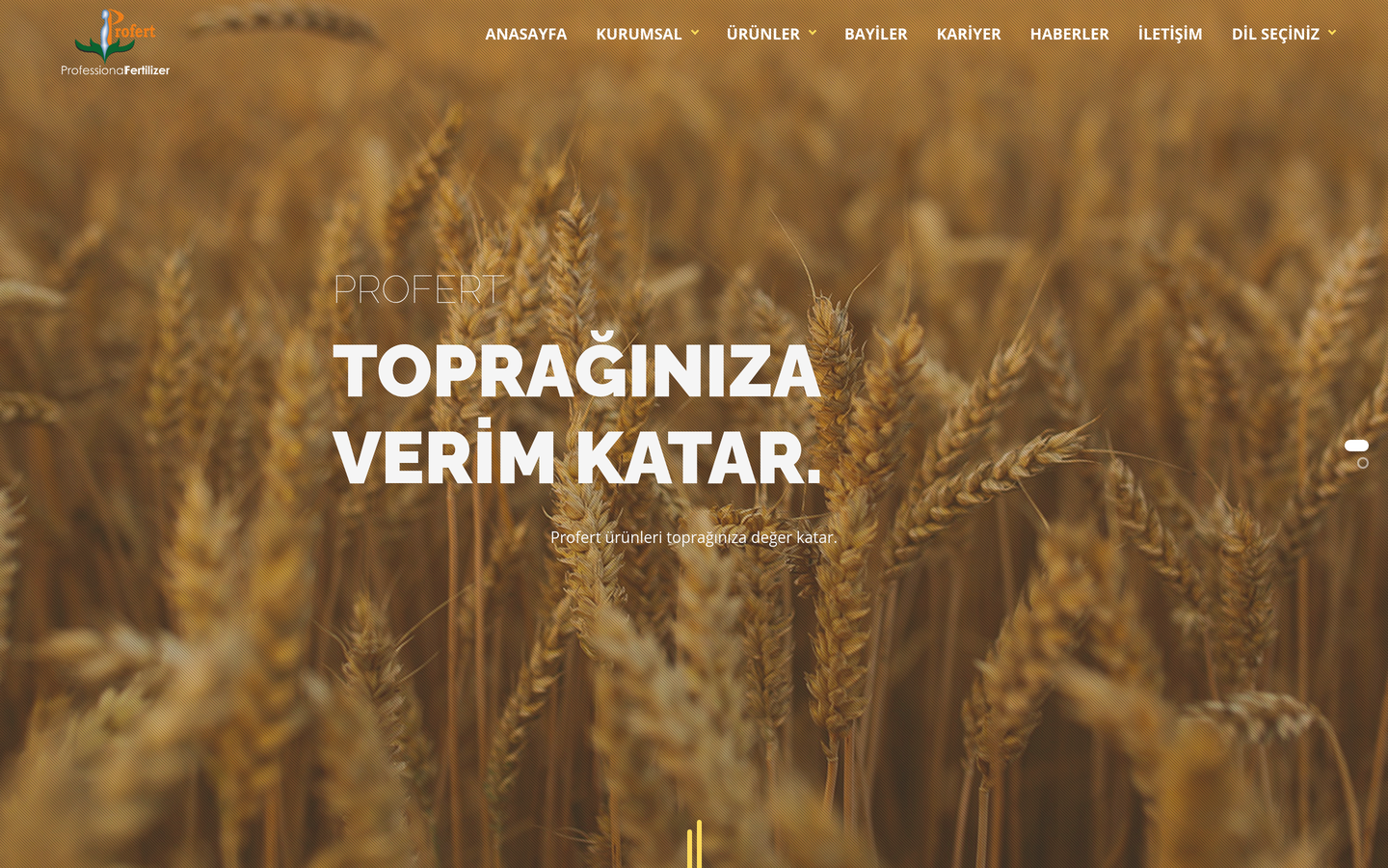 Profert