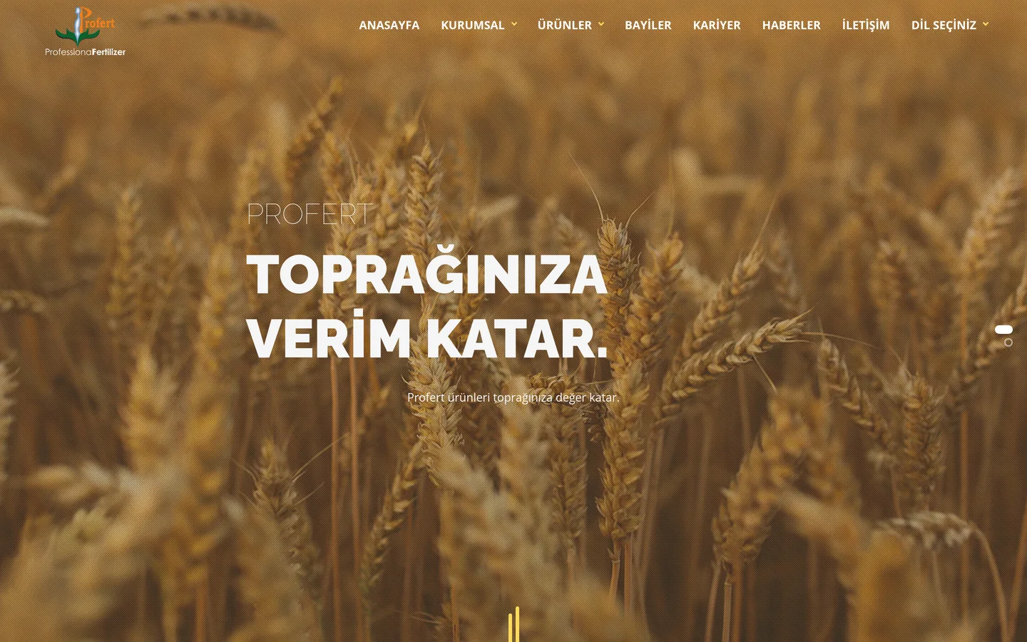 Profert