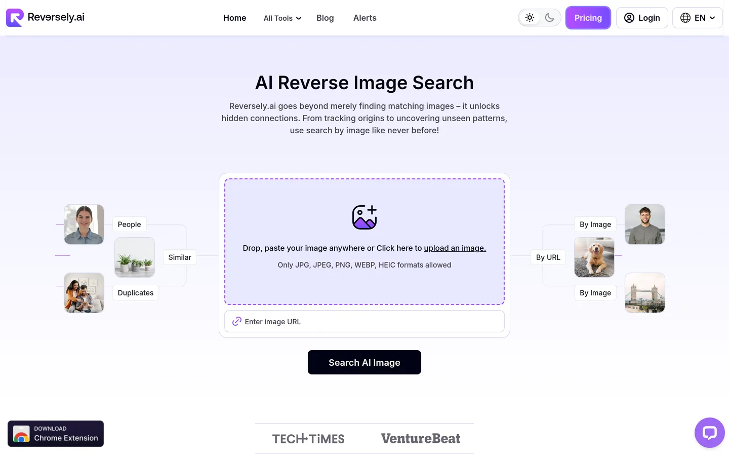 Reversely.ai