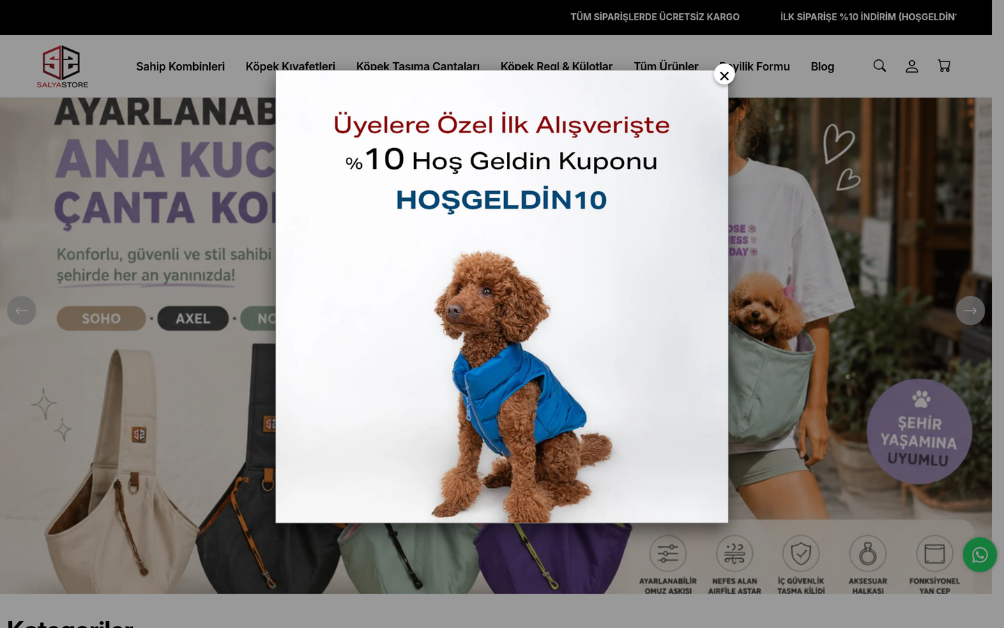 Salyastore