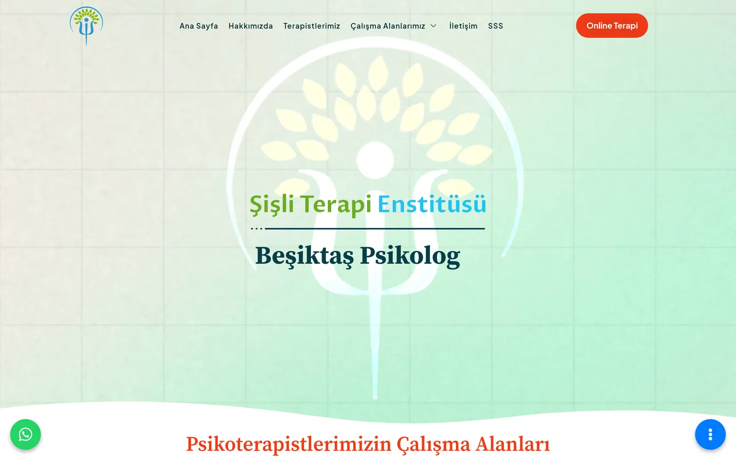 Şişli Terapi Enstitüsü