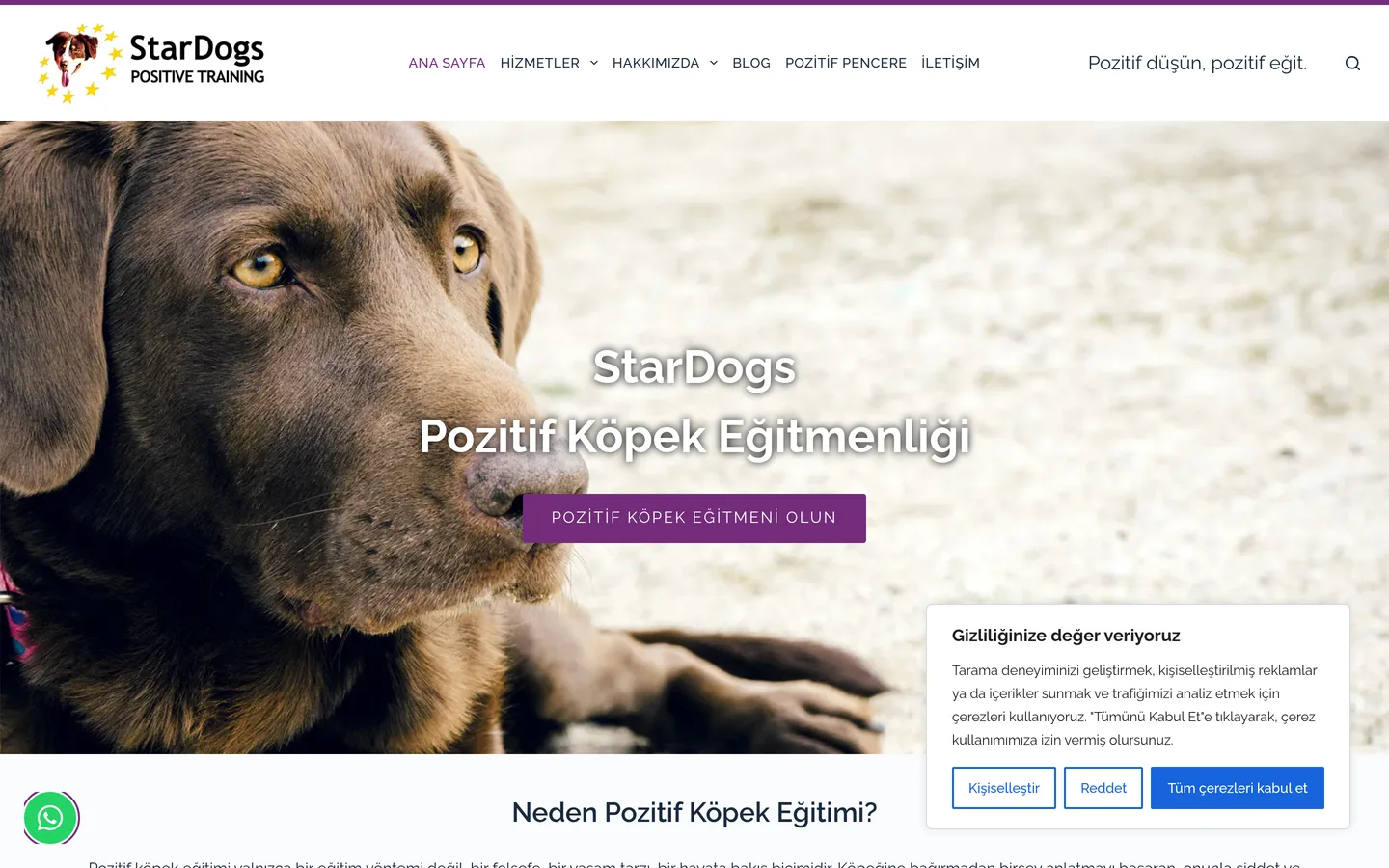 StarDogs Türkiye
