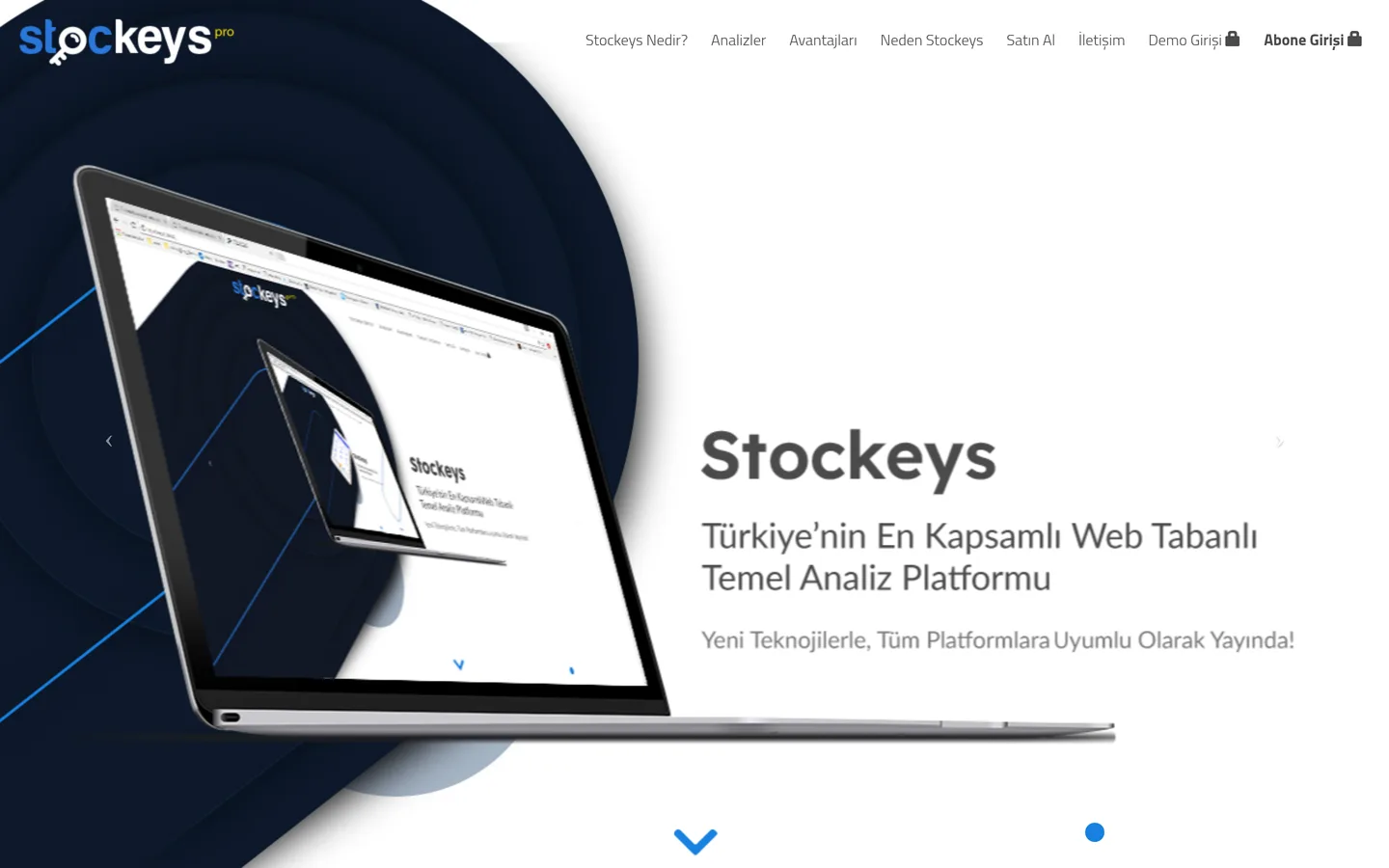 Stockeys