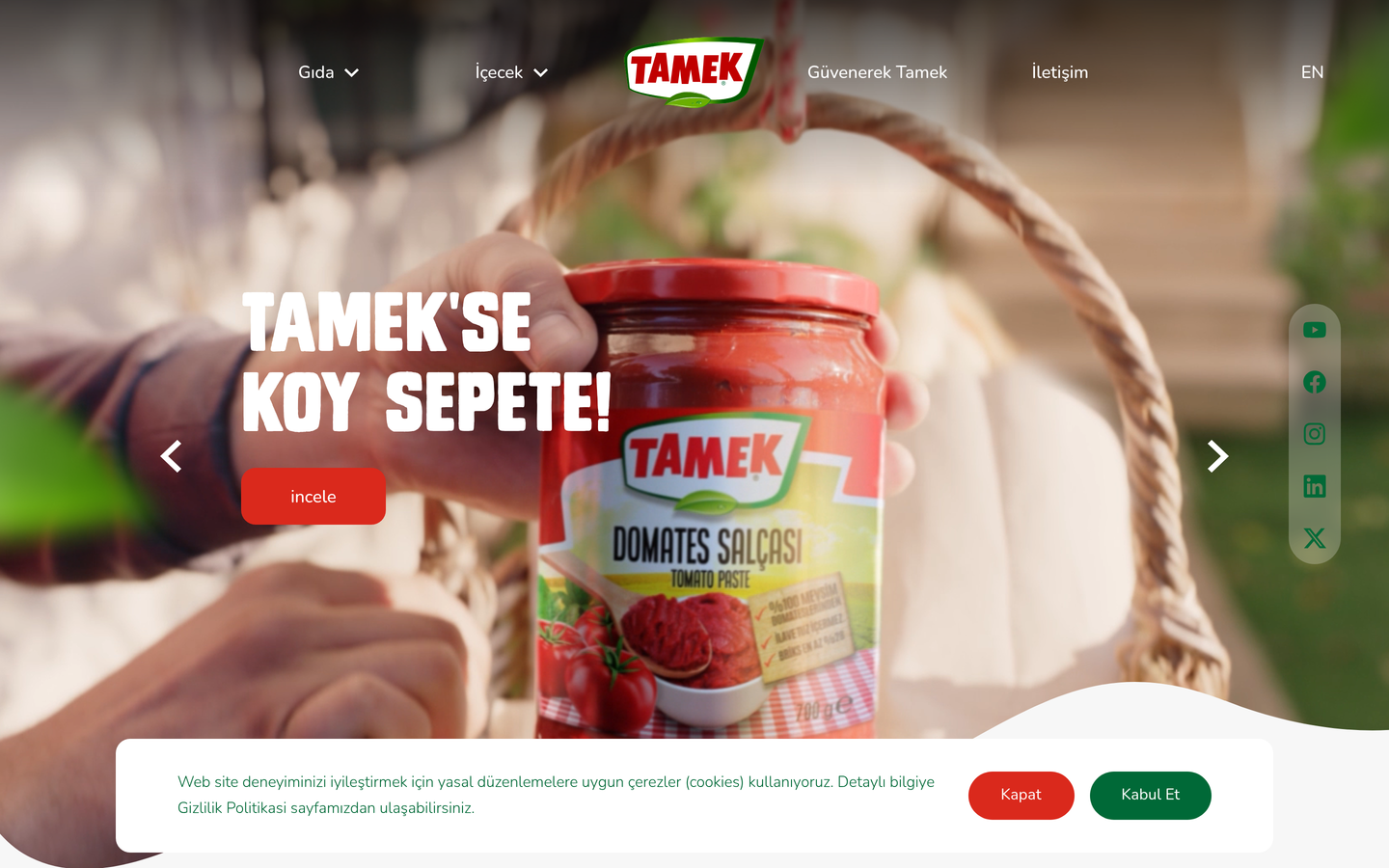 Tamek