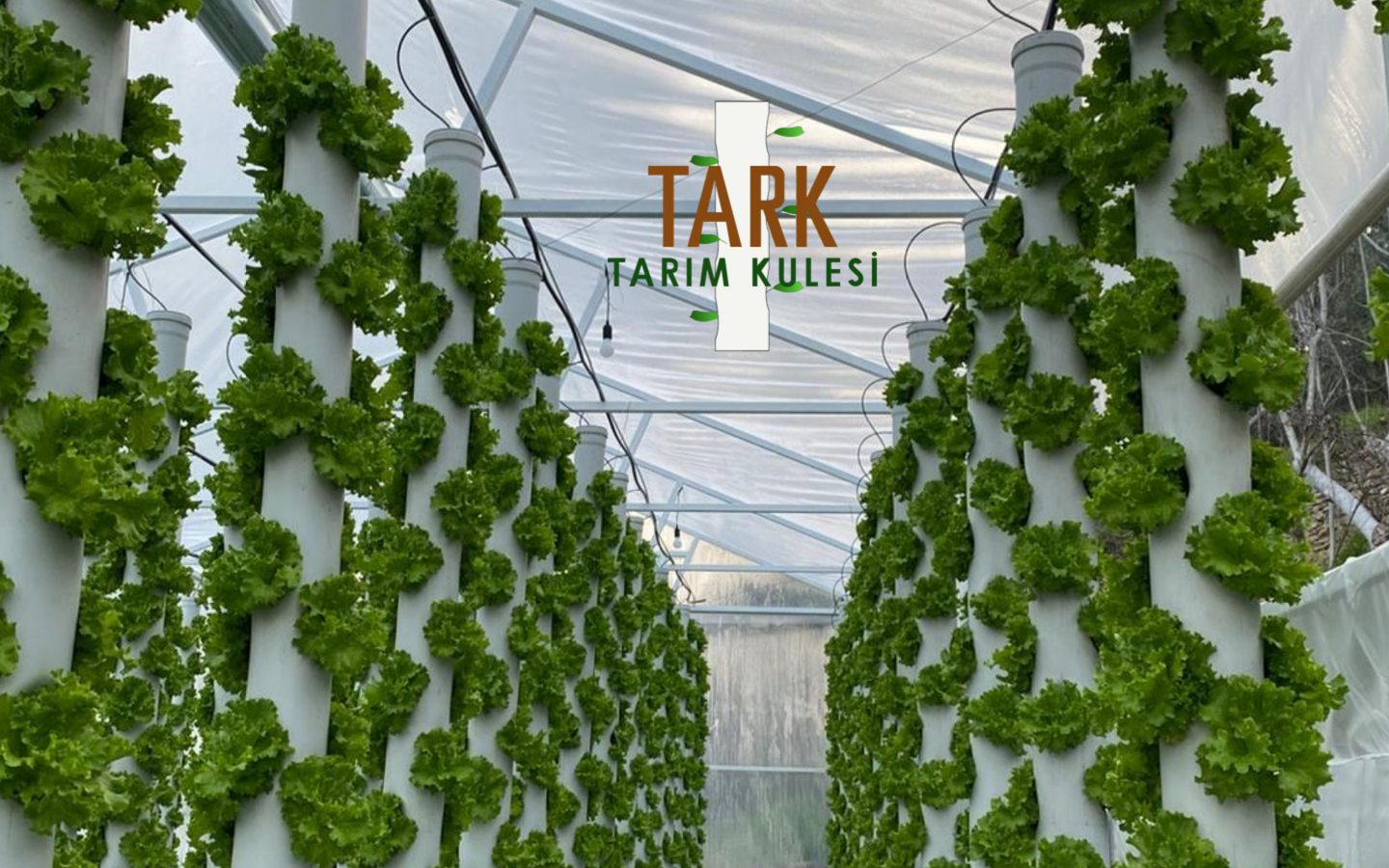 Tarım Kulesi