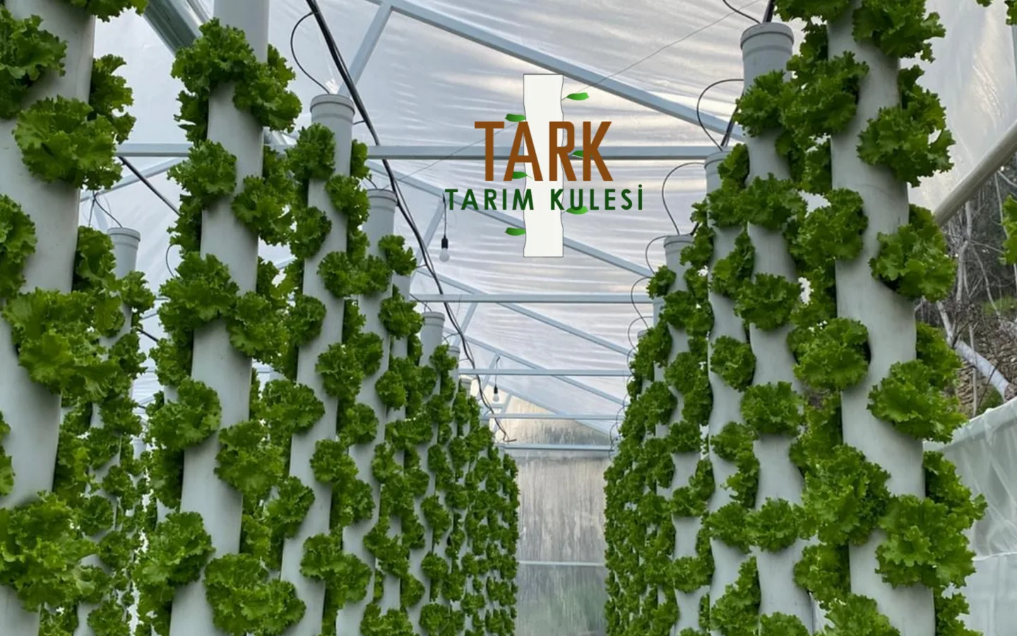 Tarım Kulesi