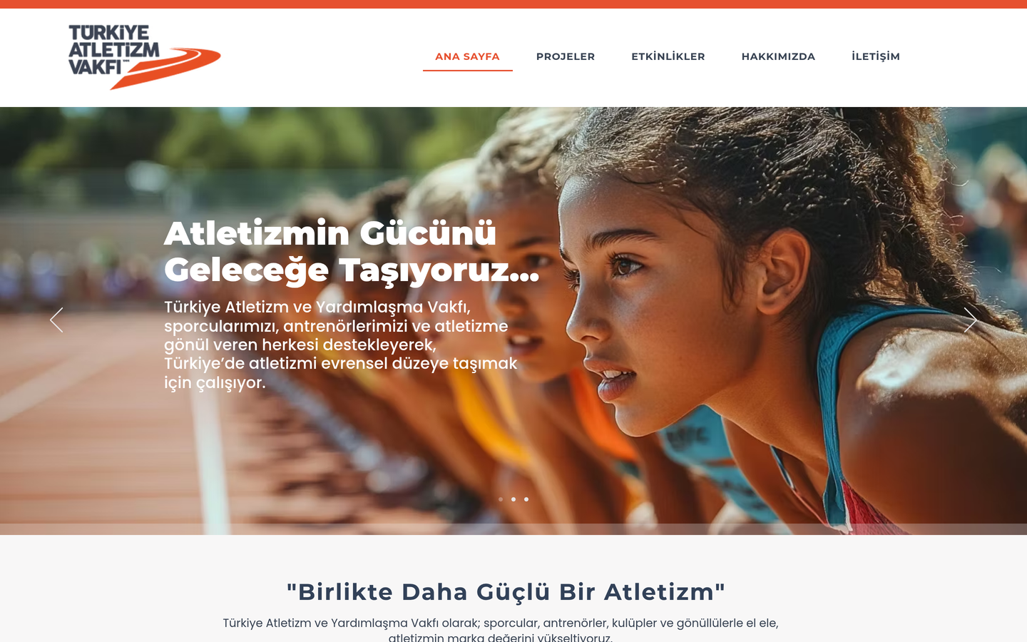 Türkiye Avrupa Vakfı