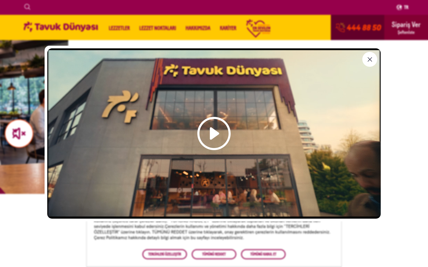Tavuk Dünyası