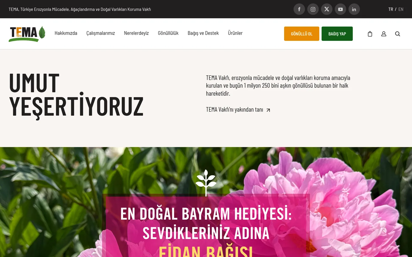 TEMA Vakfı