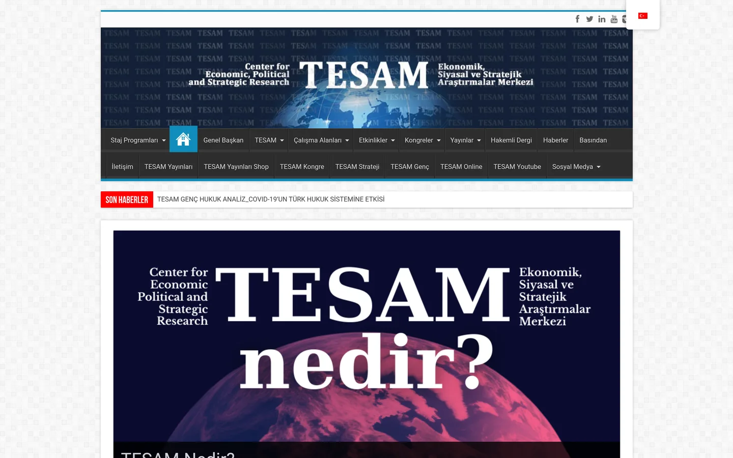 TESAM (Türkiye Ekonomik, Siyasal ve Stratejik Araştırmalar Merkezi)