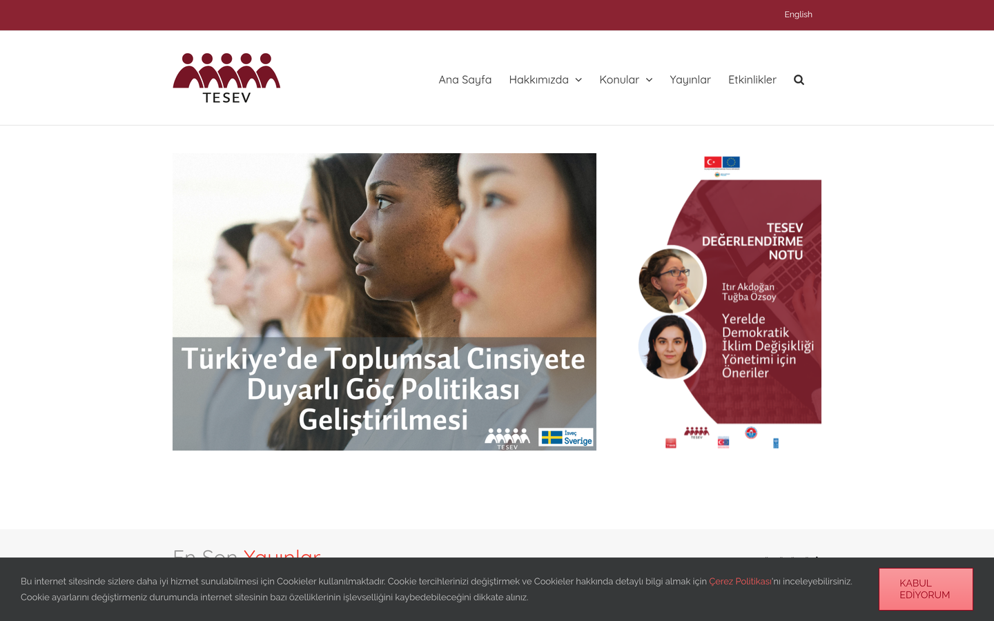 TESEV