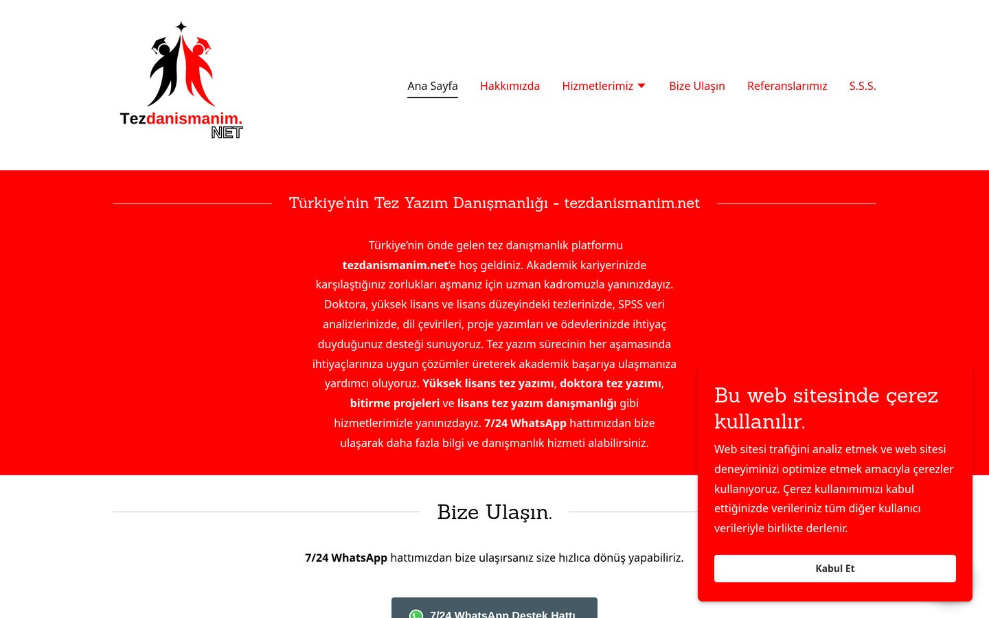 Tez Danışmanım