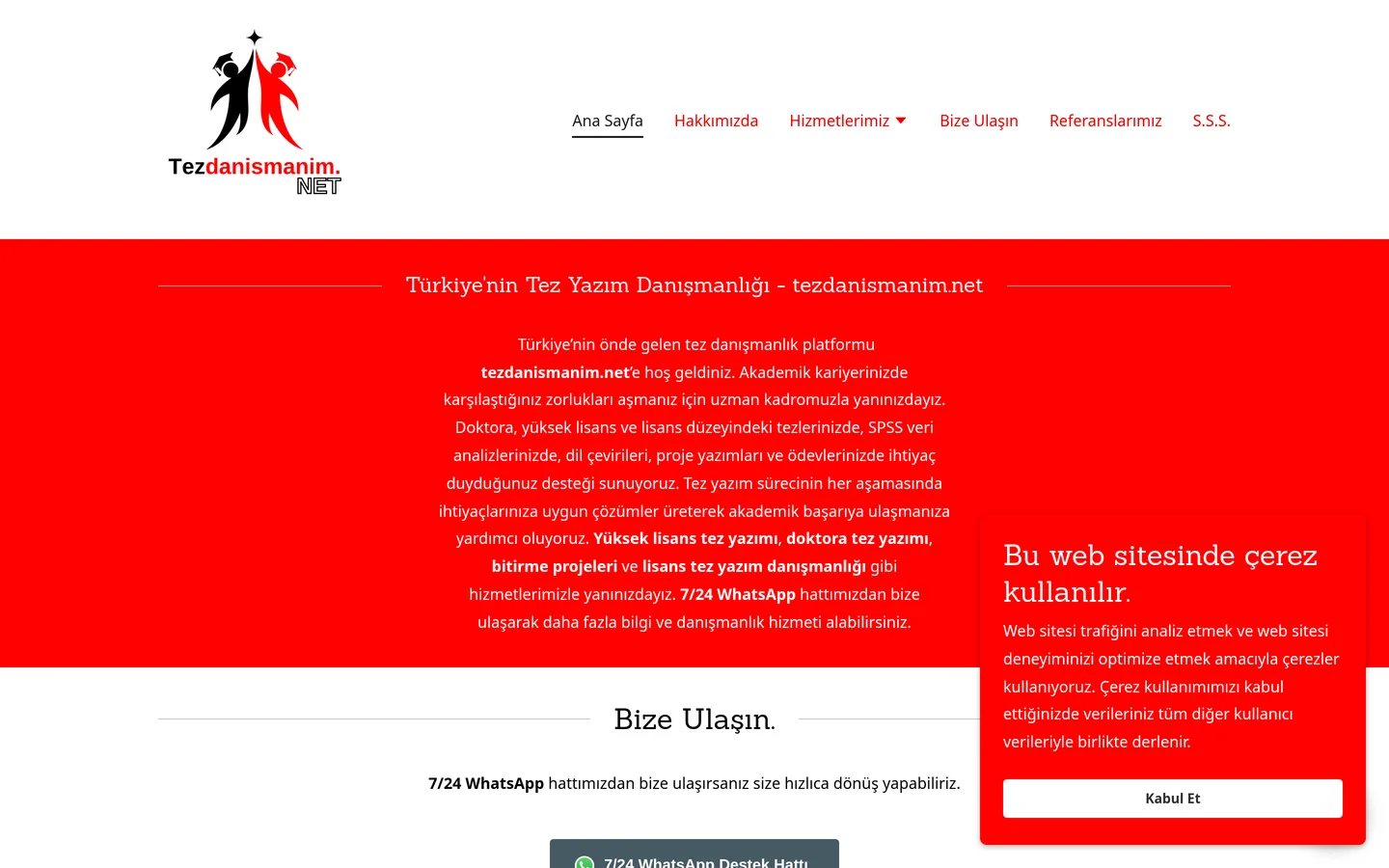 Tez Danışmanım