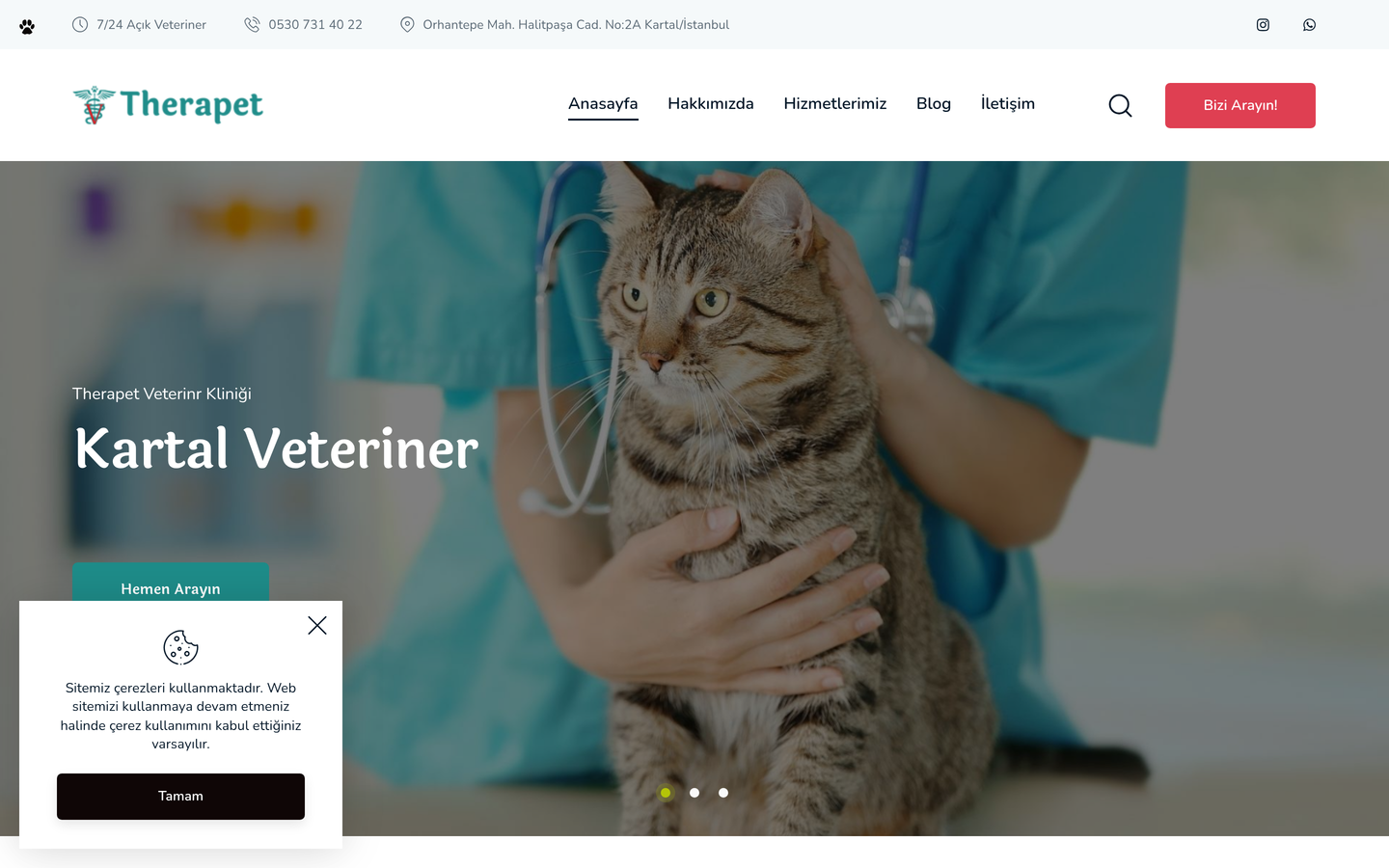 Therapet Veteriner