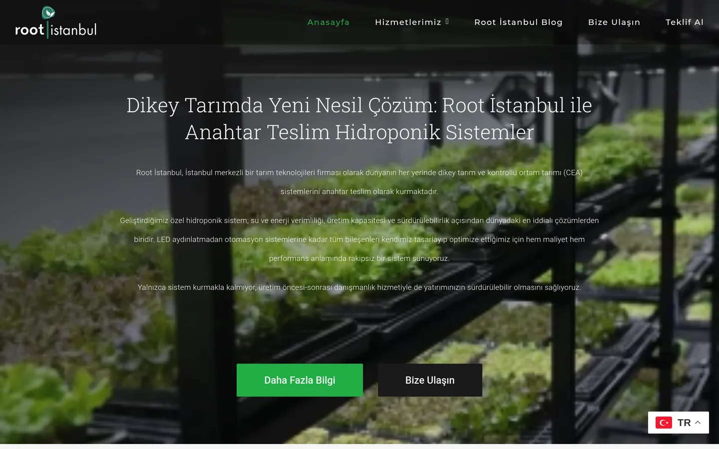 The Root İstanbul