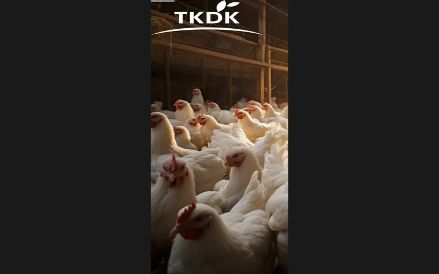 Tarım ve Kırsal Kalkınmayı Destekleme Kurumu (TKDK)