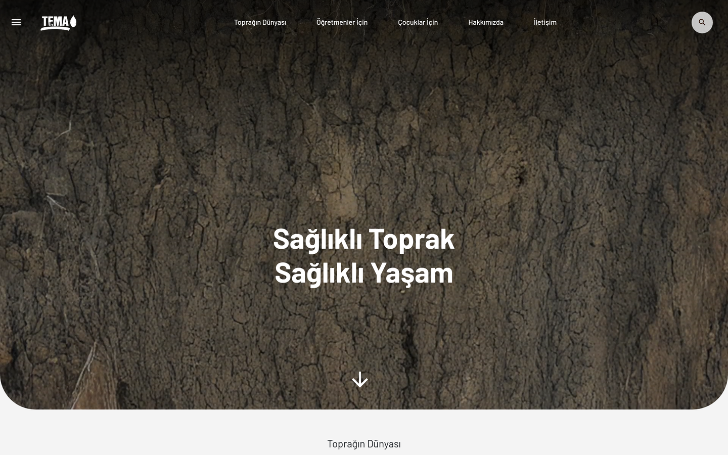 Toprak TEMA