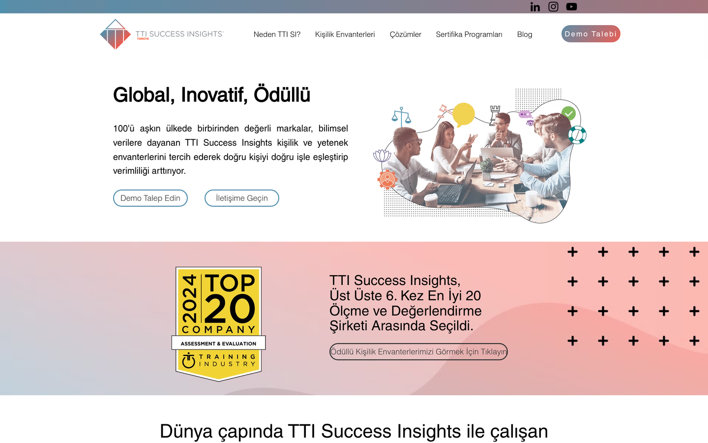 TTI Success Insights Türkiye
