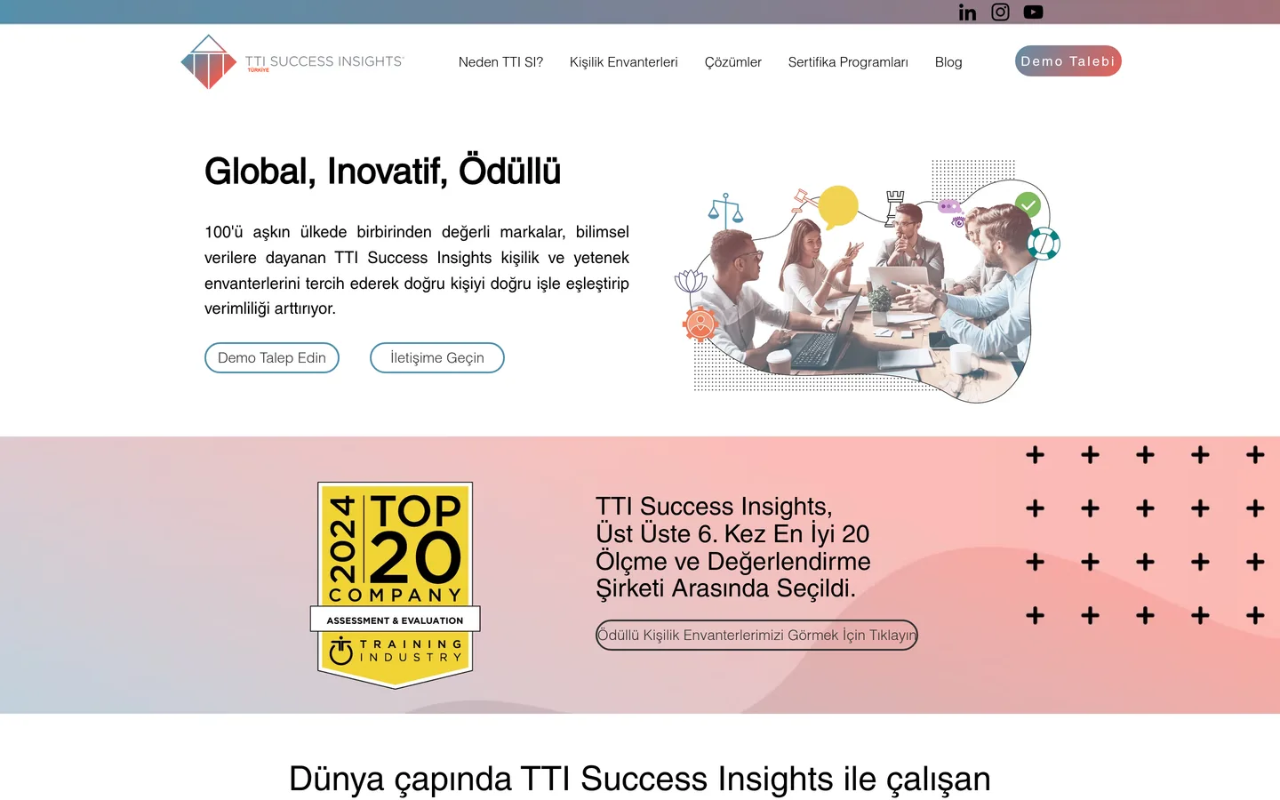 TTI Success Insights Türkiye