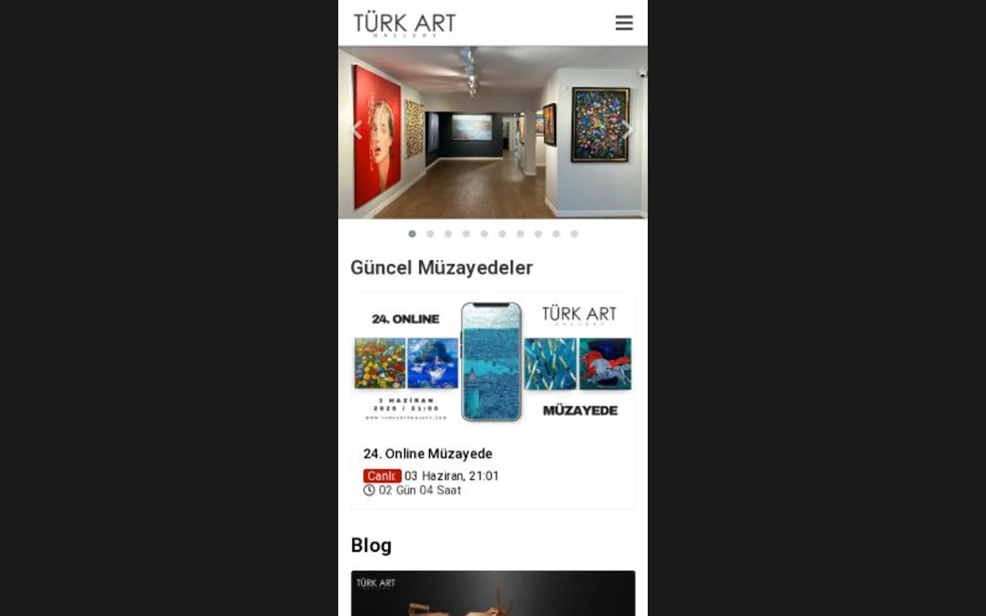 Türk Art Project