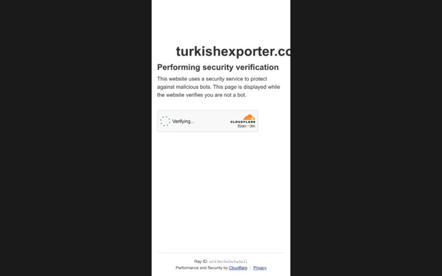 Turkishexporter