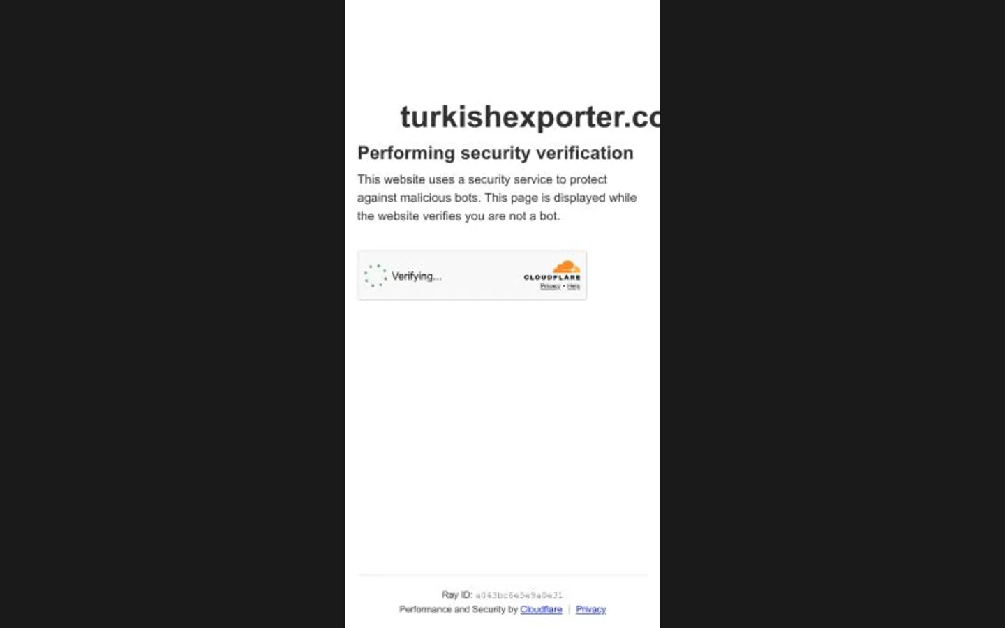 Turkishexporter