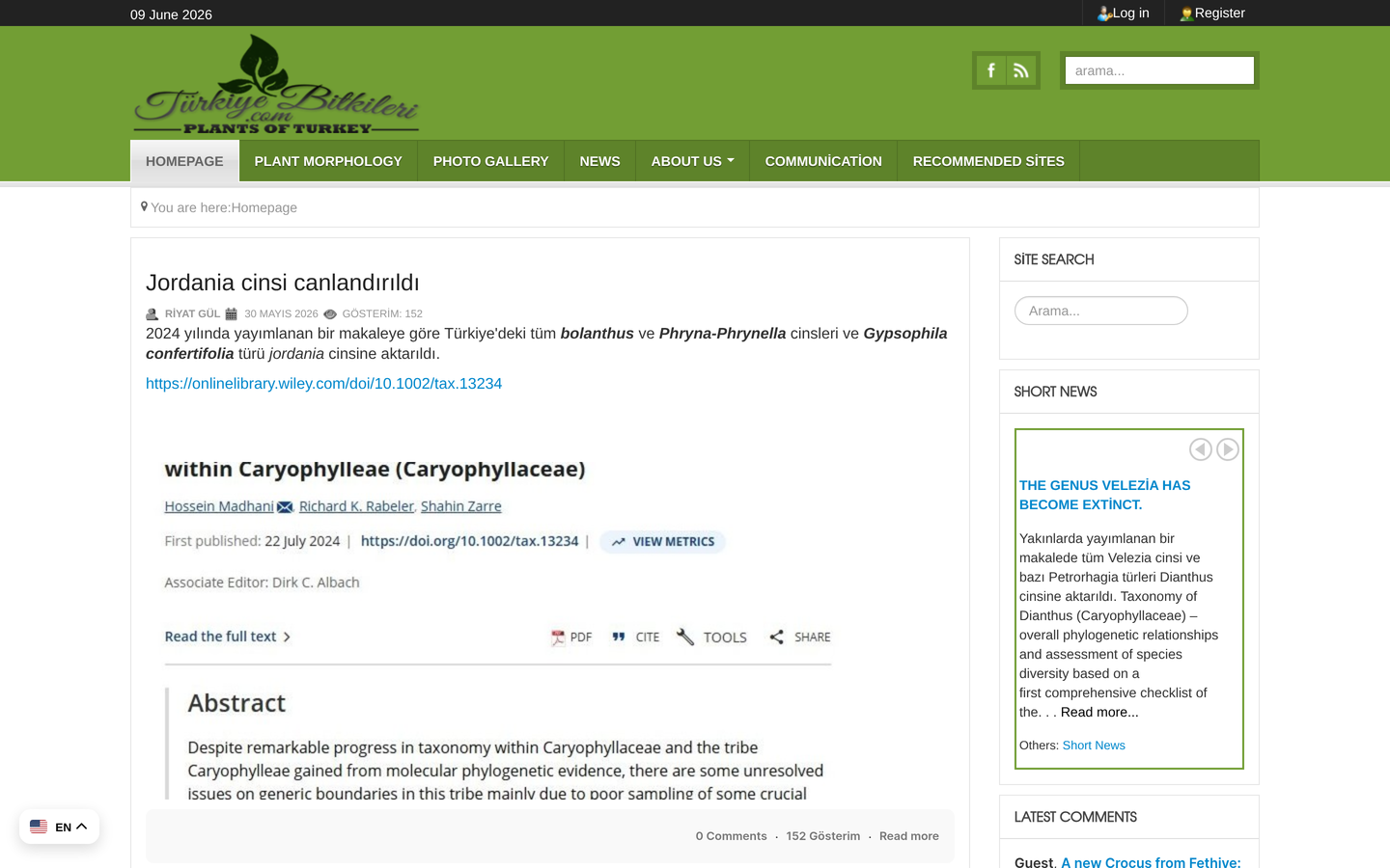 Türkiye Bitkileri