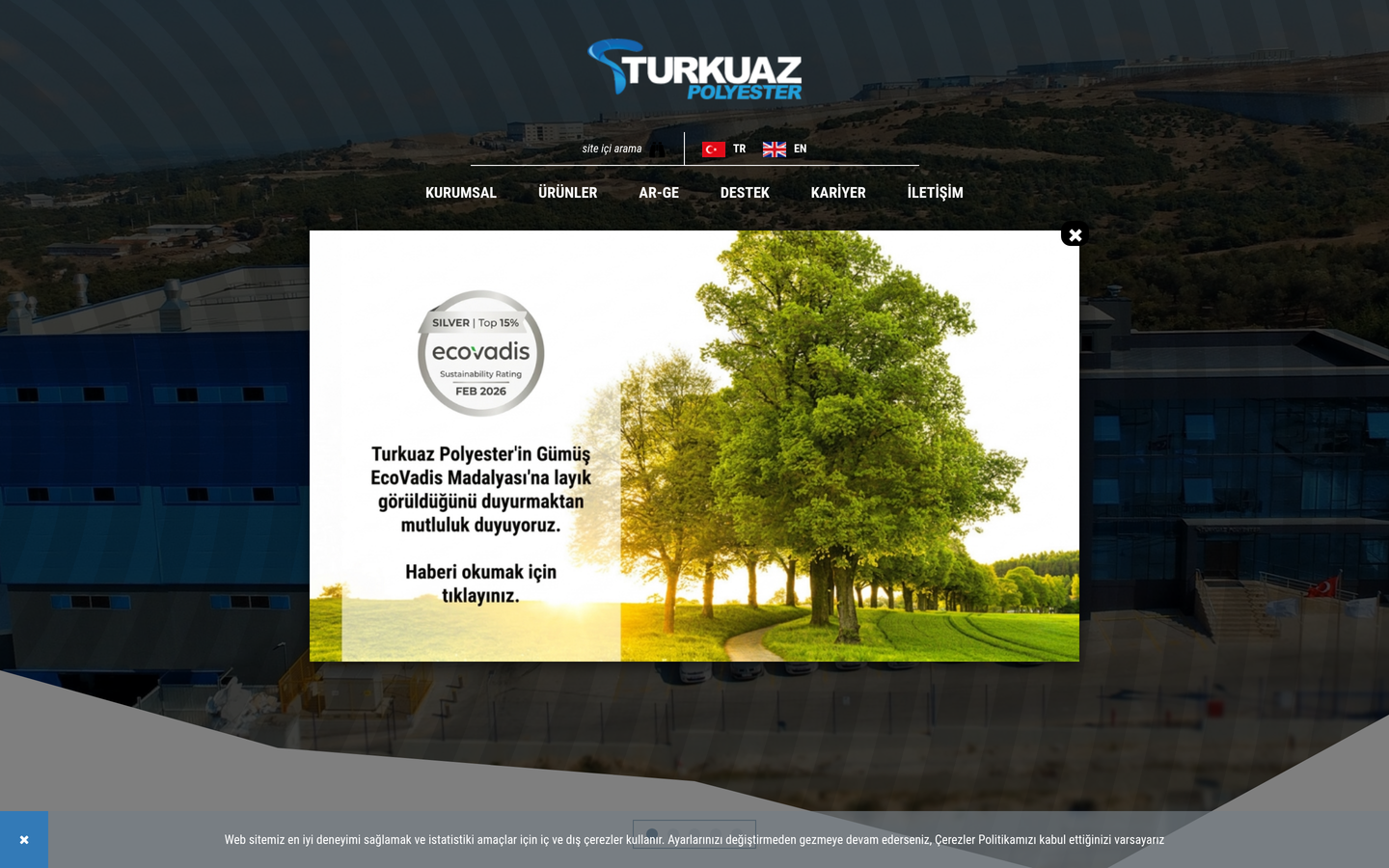Turkuaz Polyester