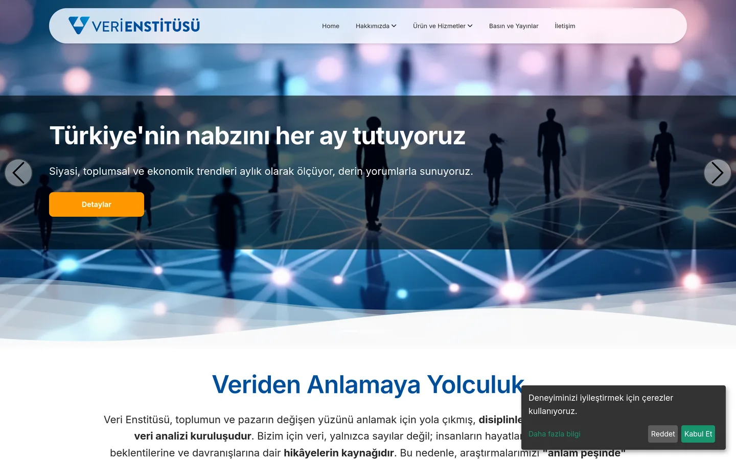 Veri Enstitüsü