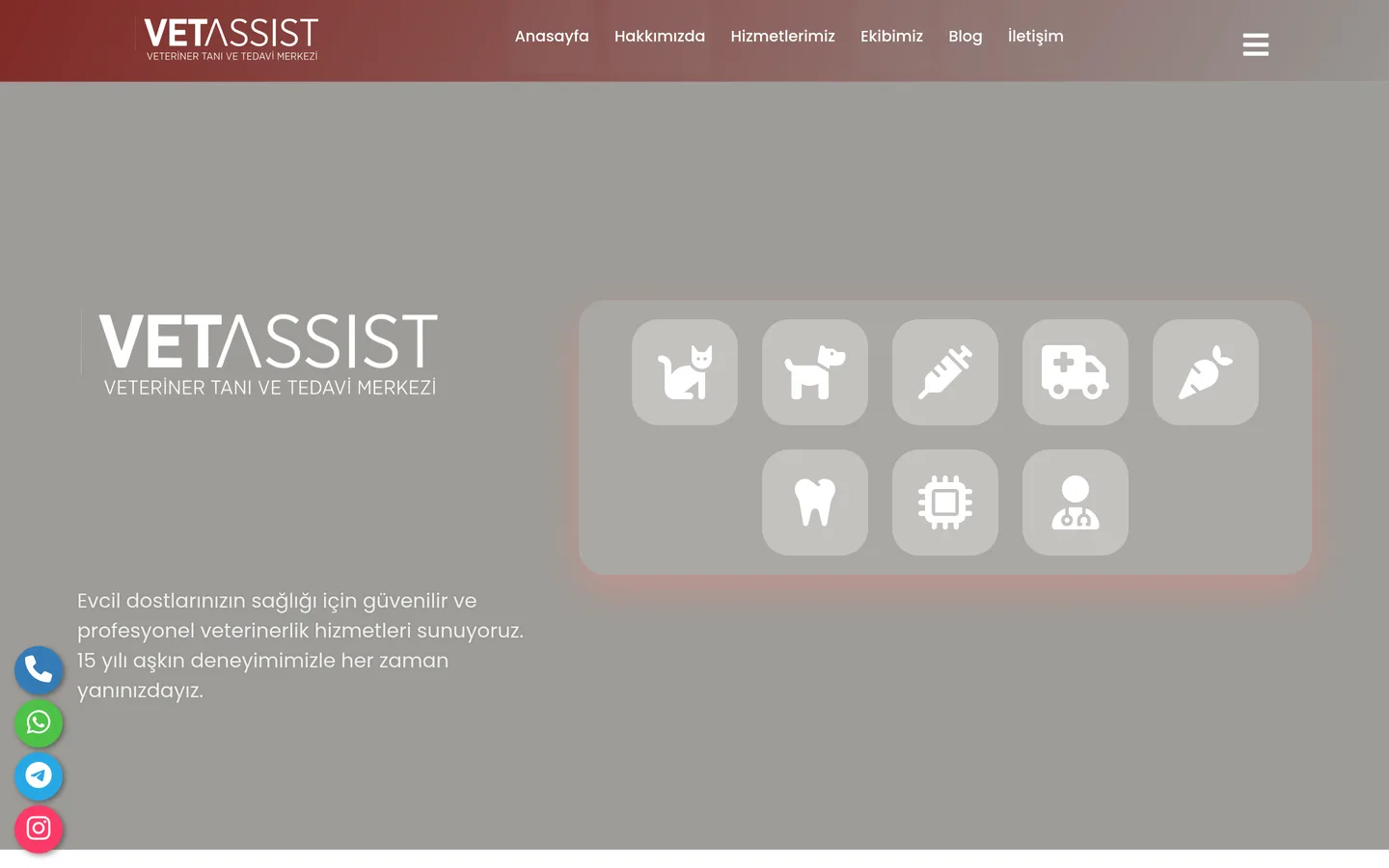 VetAssist