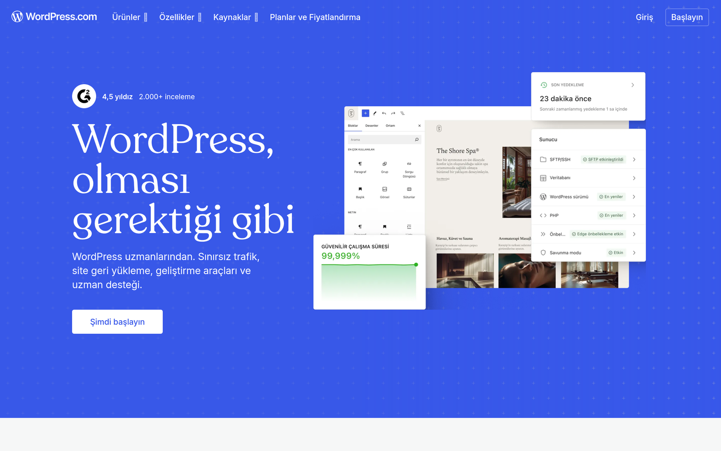 WordPress